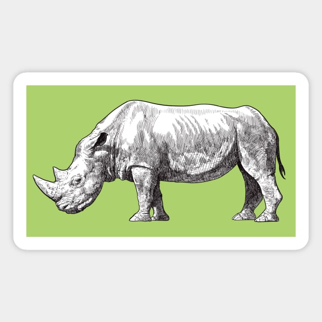 Drawing of a Rhino Magnet by StefanAlfonso
